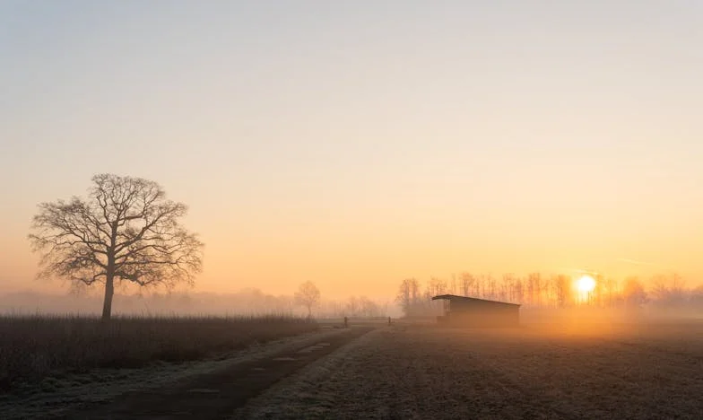 Sierra si myslela, že našla štěstí po boku Tobiáše, ale pravá radost byla jinde